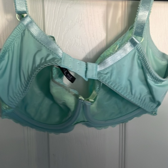 Adore Me size 36dd bra. Teal light blue color - Picture 5 of 7